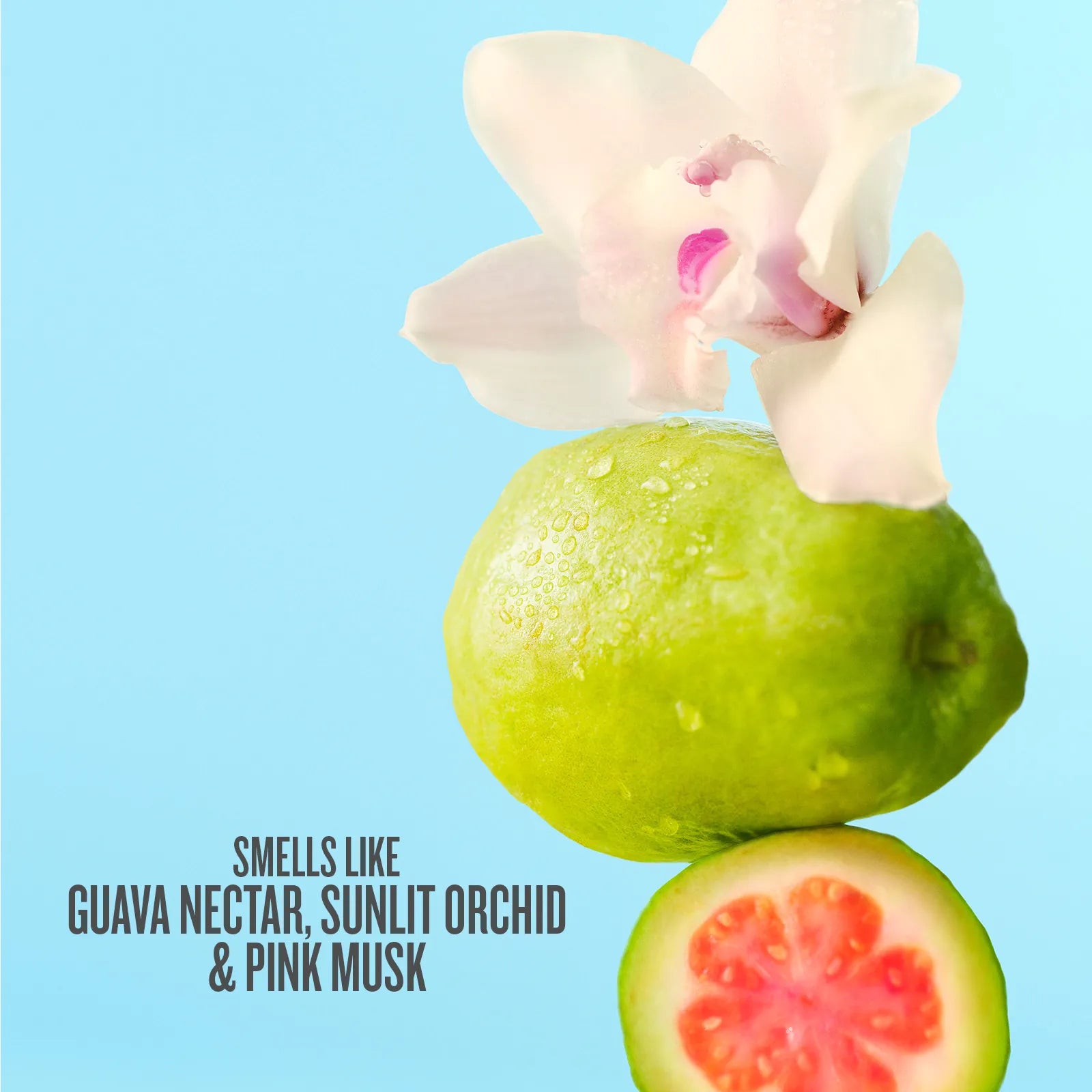 2.INGREDIENTS_C48_1600x1600_text.jpg