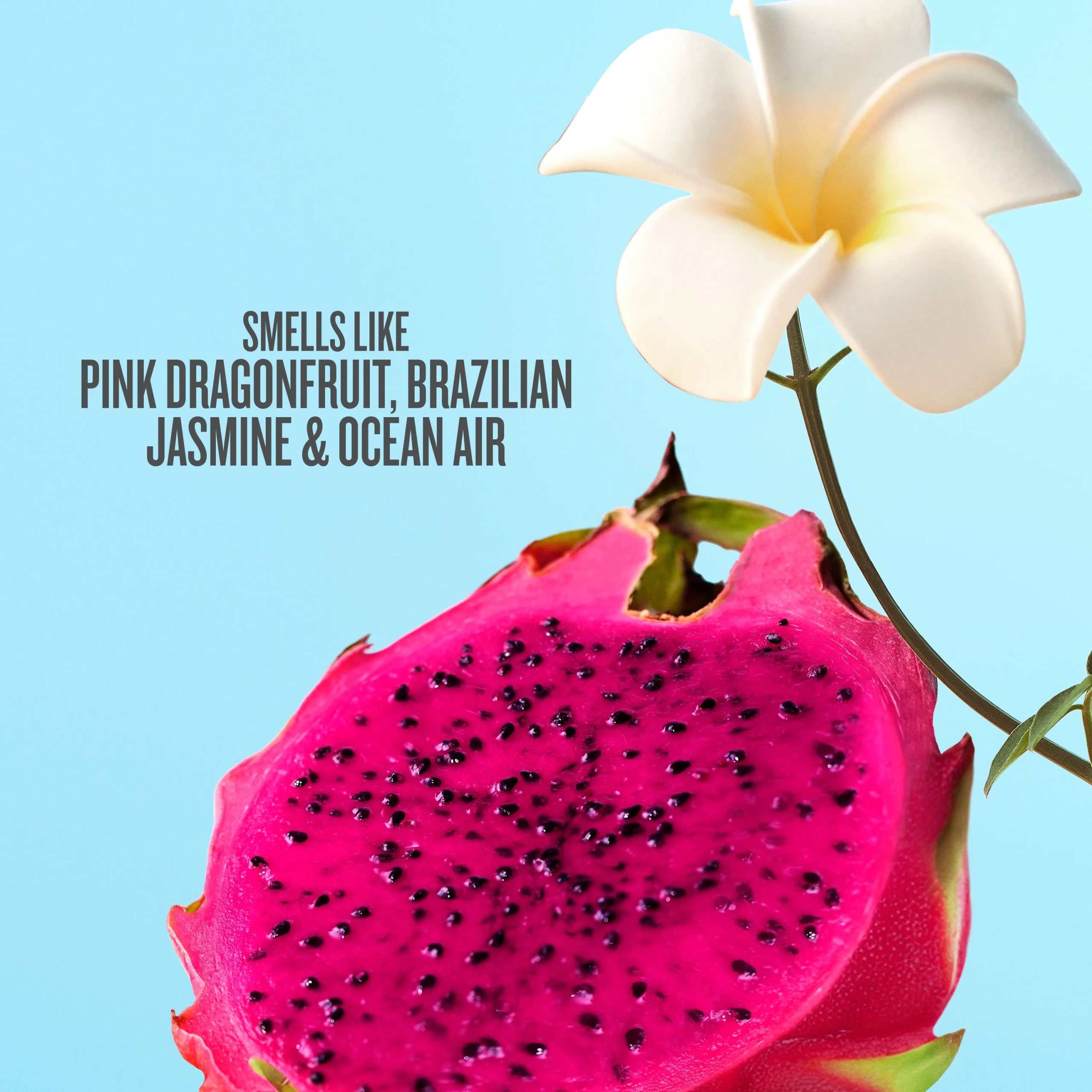 2._INGREDIENTS_C68_1600x1600_text.jpg