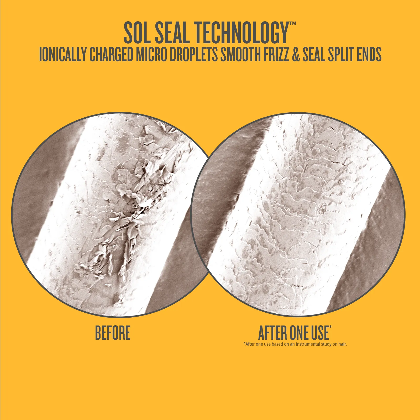 4_SPLIT_ENDS_1600x1600_wText.png