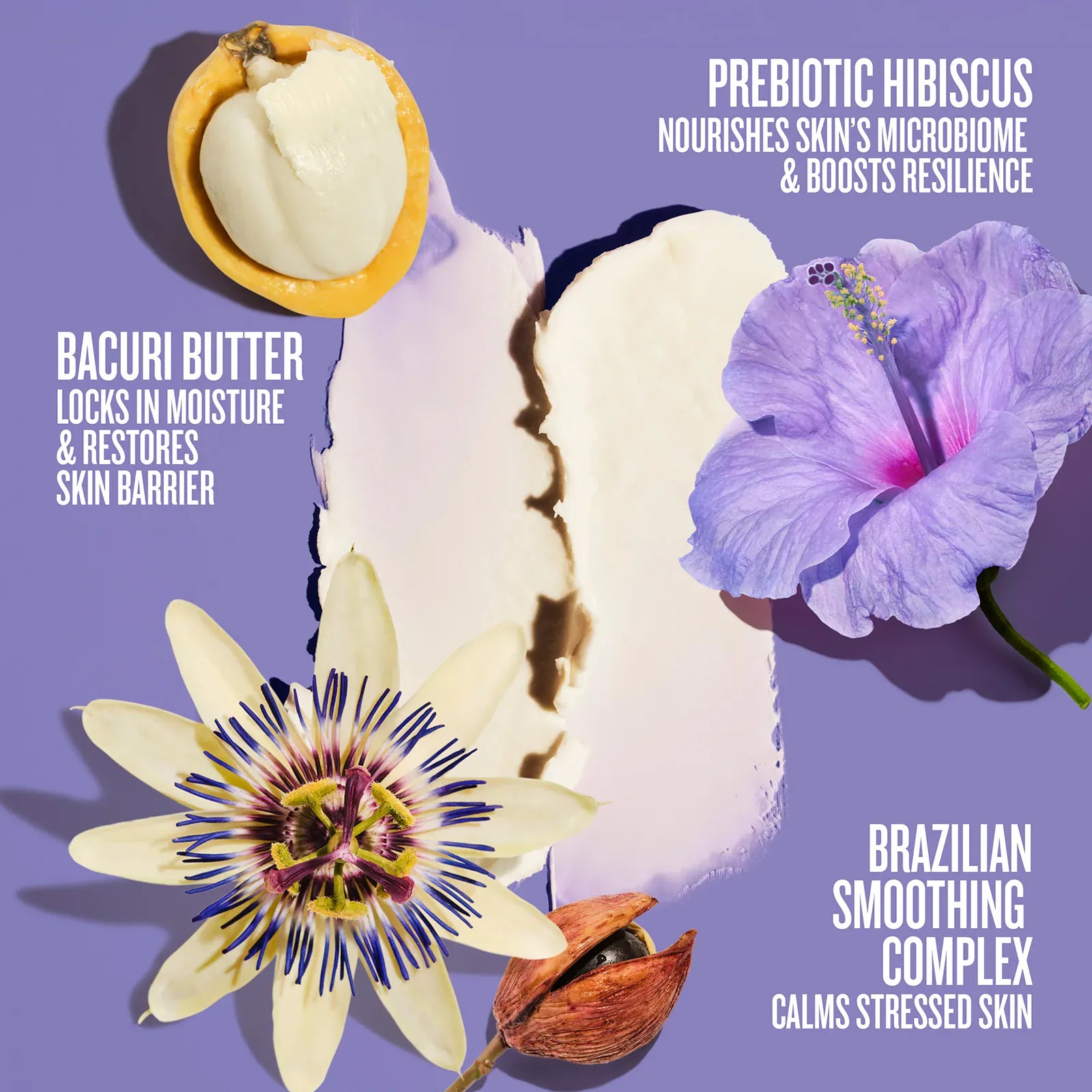 6_INGREDIENTBENEFIT_3bf7f55d-80b2-4b7c-a06d-96febd7ffda5.jpg