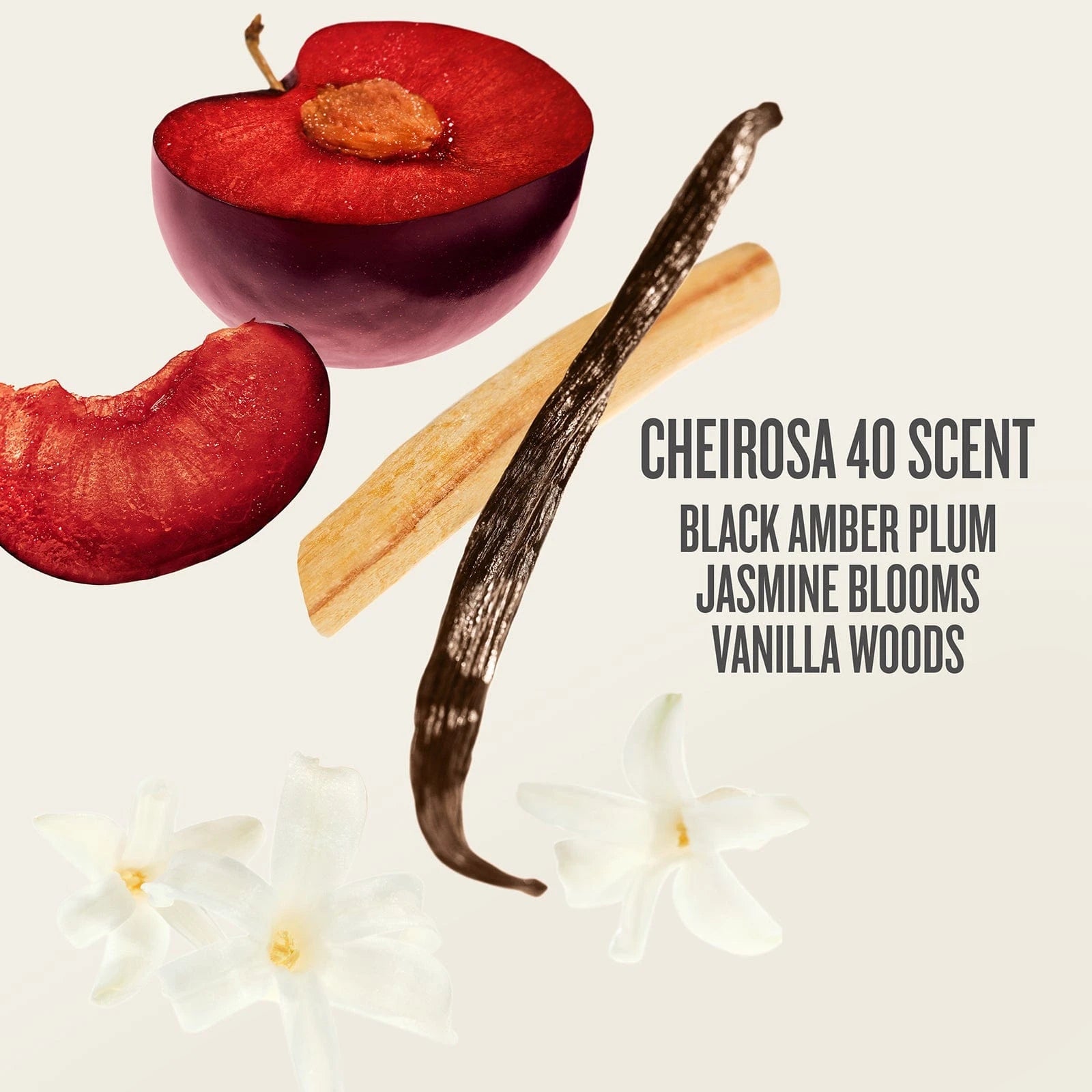 FY25_BDJetSet_PPage_8_Scent.jpg