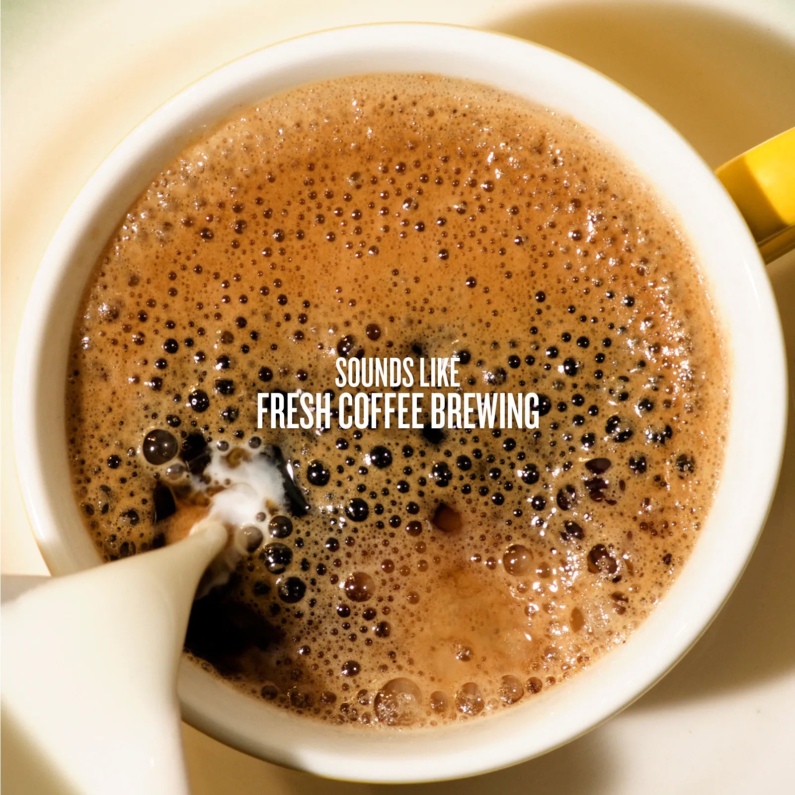 SDJ_LeiteCafe_05_SOUNDSLIKE_1600x1600_ae37955b-7cd9-4b71-a727-2a57155f3673.jpg